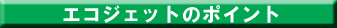 �G�R�W�F�b�g�̃|�C���g