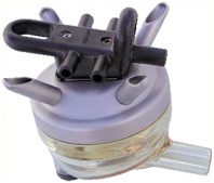 ワイカトクロー