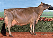 エーボンリー シルバー CF バニ