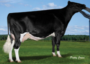 AVD ローソリティー 206　GP83-1YR