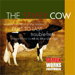 THE SEMEX COW
