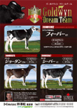 ゴールドウィン ドリームチーム①
