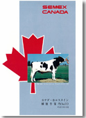 SEMEX 1989年10月パンフレット