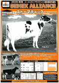SEMEX 2004年08月パンフレット