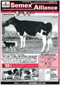 SEMEX 2005年03月パンフレット