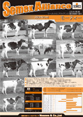 SEMEX 2005年08月パンフレット