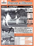 SEMEX 2006年08月パンフレット