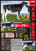 SEMEX 2010年12月成績版パンフレット