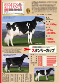 SEMEX 2011年12月成績版パンフレット