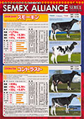 SEMEX 2014年12月成績版パンフレット