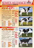 SEMEX 2014年4月成績版パンフレット