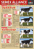 SEMEX 2014年8月成績版パンフレット