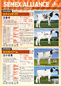 SEMEX 2017年12月成績版パンフレット