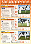 SEMEX 2018年4月成績版パンフレット