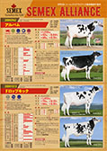 SEMEX 2019年4月成績版パンフレット