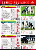 SEMEX 2020年8月成績版パンフレット