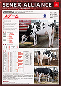 SEMEX 2020年12月成績版パンフレット