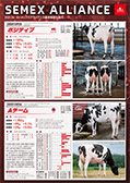 SEMEX 2020年12月成績版パンフレット