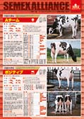 SEMEX 2021年8月成績版パンフレット