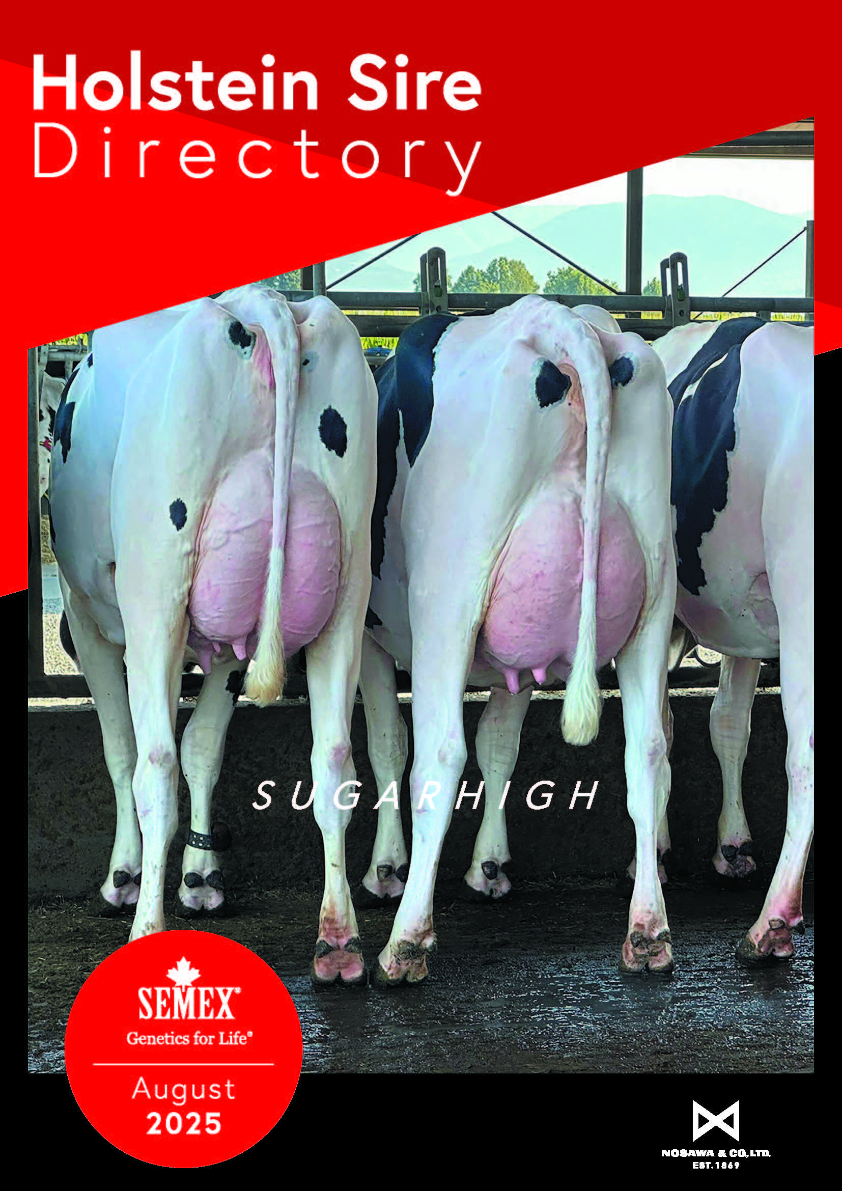 SEMEX 2025年08月成績版パンフレット