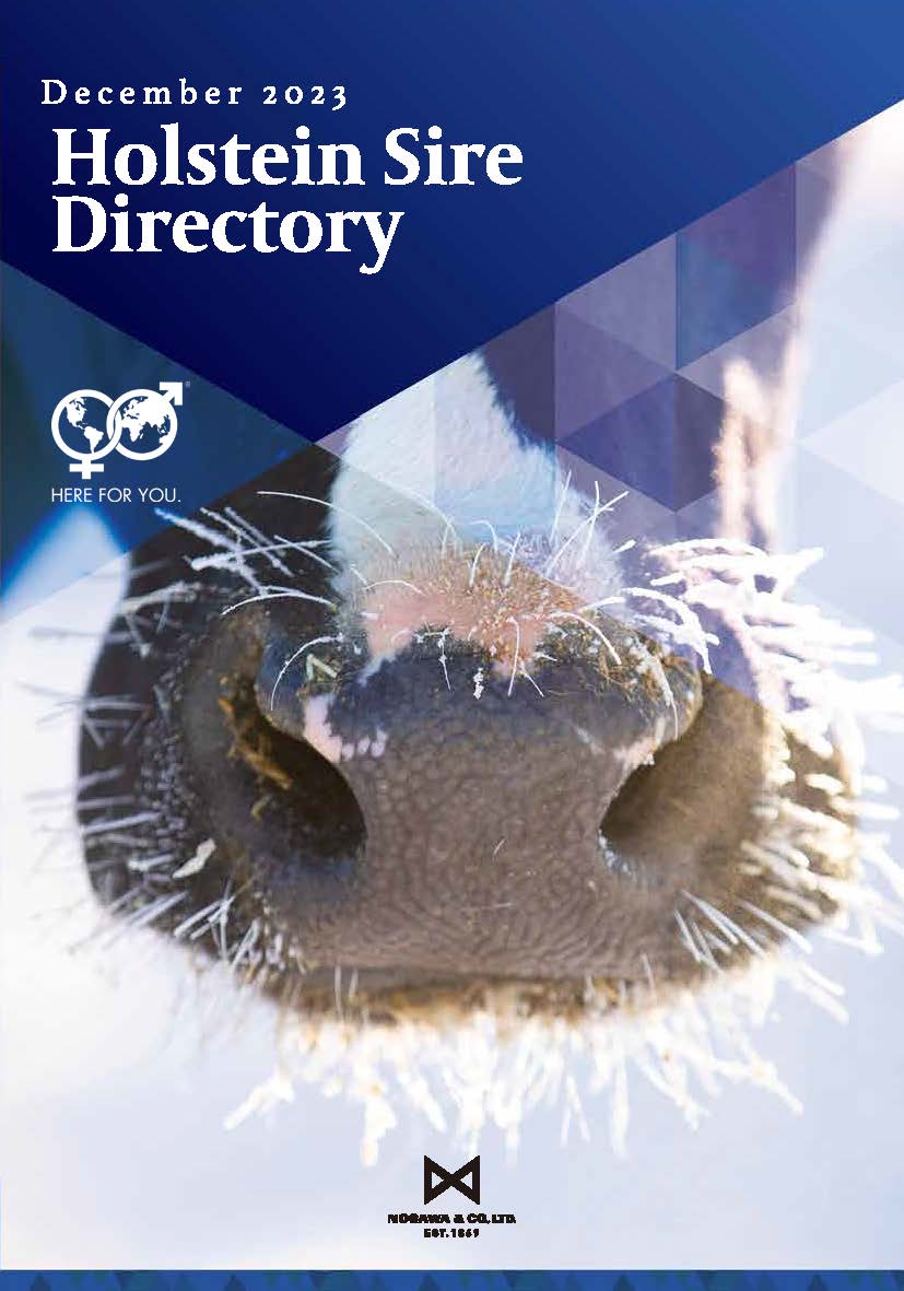 WWS ワールド ワイド サイアーズ/野澤組のトータルアプローチ