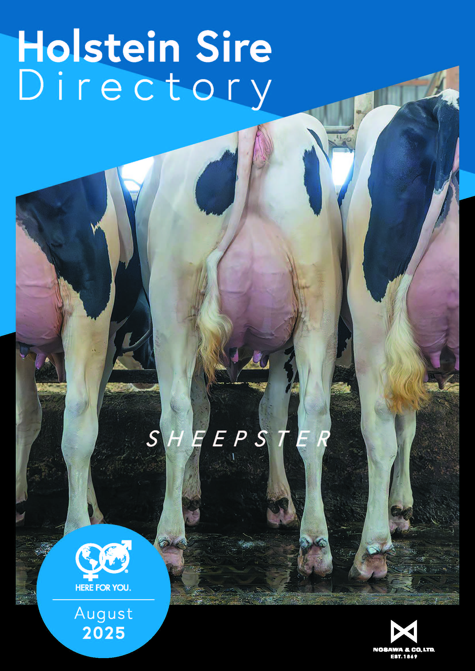 WWS 2025年8月成績版パンフレット