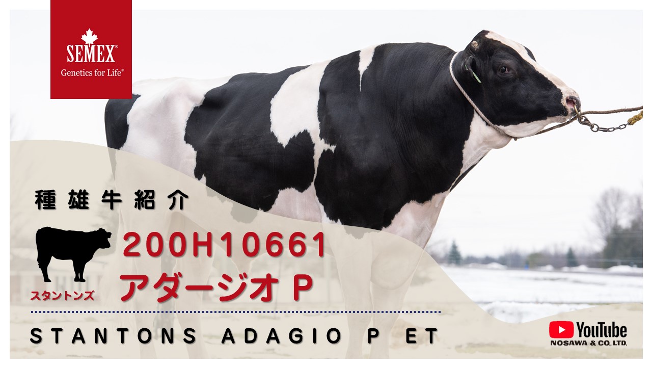 200H10661 アダージオ.jpg