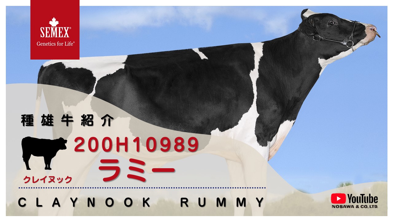 200H10989 ラミー.jpg