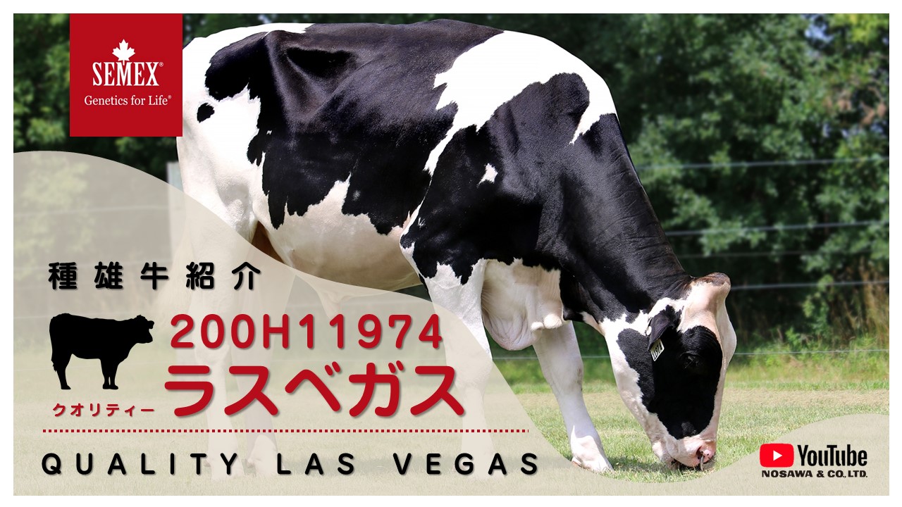 200H11974 ラスベガス.jpg