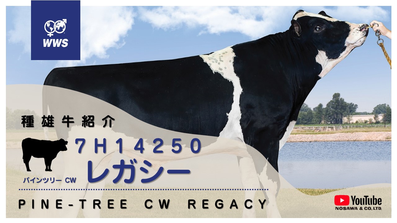 7H14250 レガシー.jpg