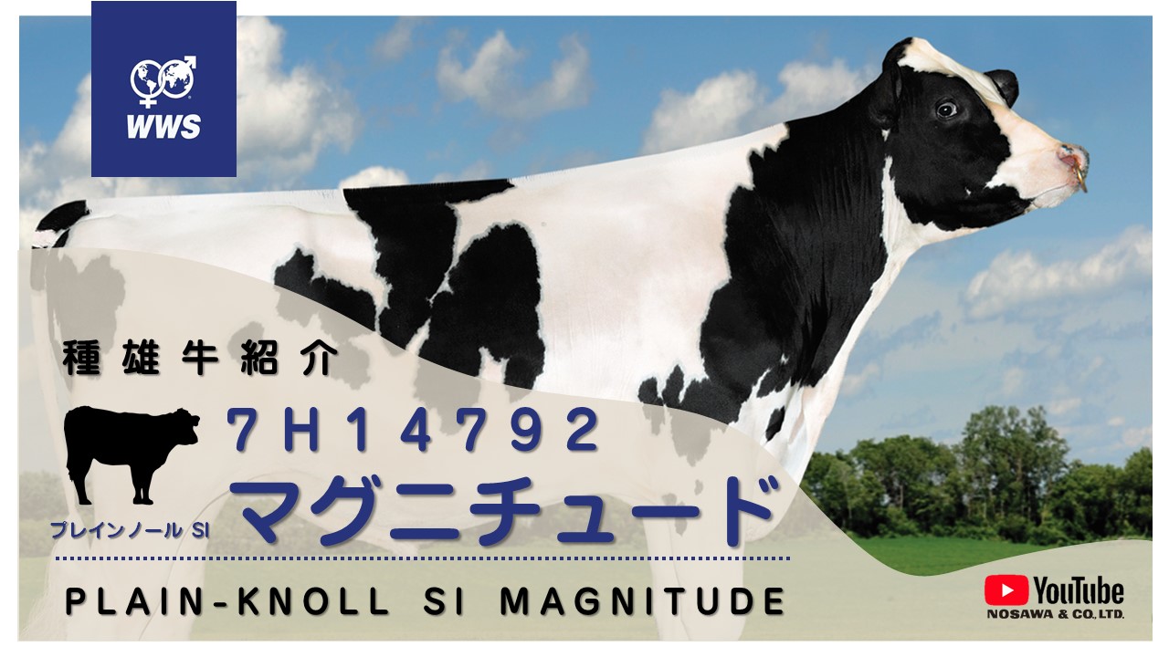 7H14792 マグニチュード.jpg